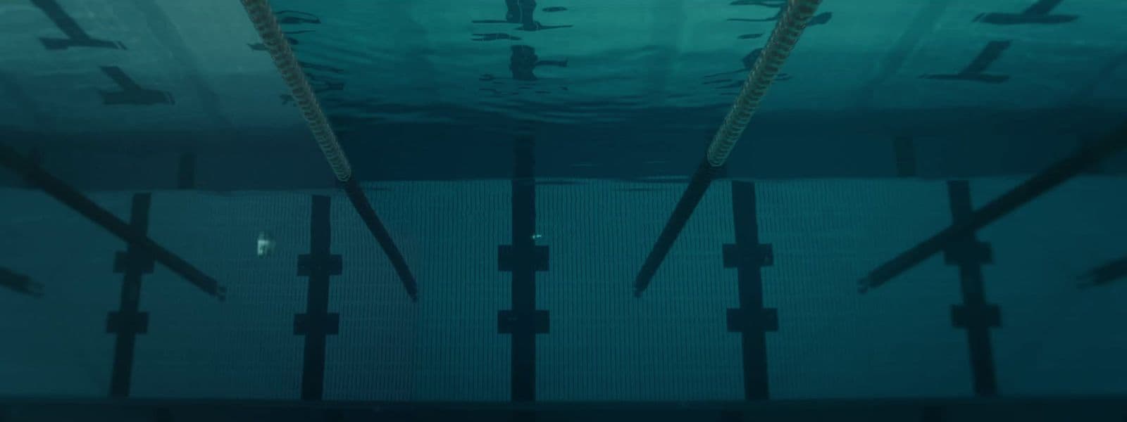an underwater view of a swimming pool with a lot of sticks sticking out of the