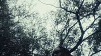 a person standing in front of a tree
