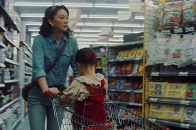 a woman pushing a child in a shopping cart