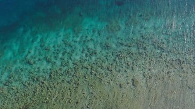 a bird's eye view of a beach and ocean