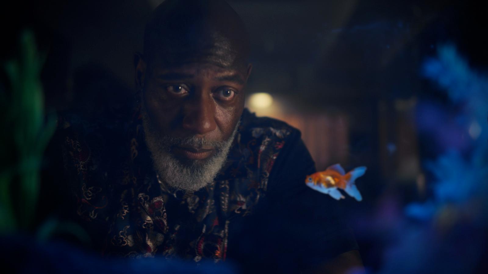 a man looking at a fish in a dark room