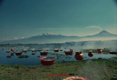 a group of pots sitting on top of a grass covered field