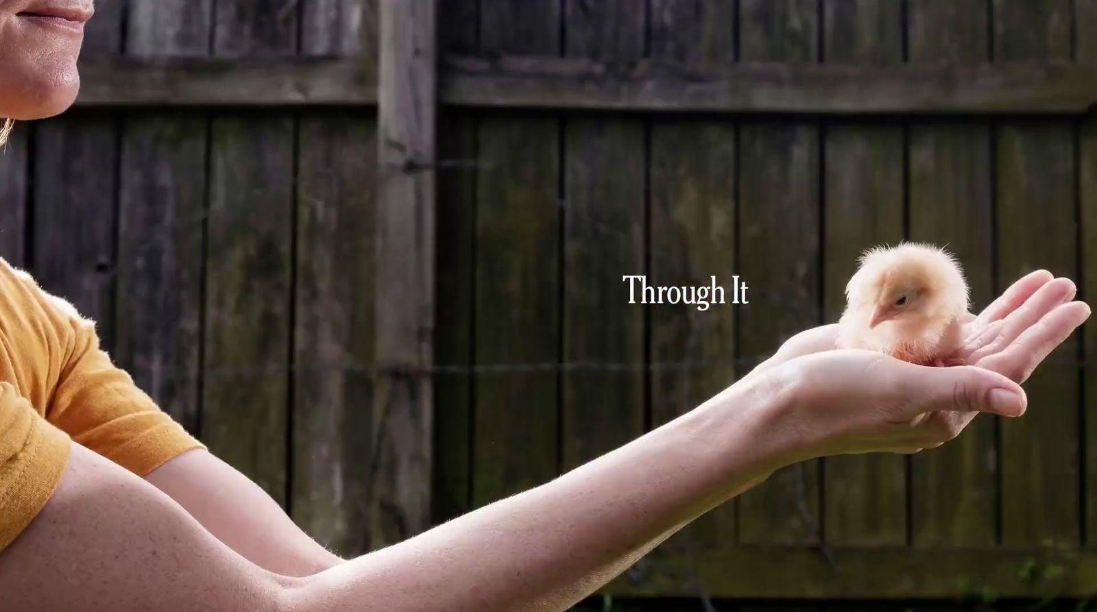 a woman holding a small chicken in her hands