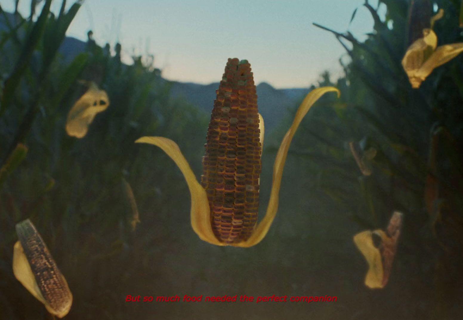 a close up of a corn cob on a plant