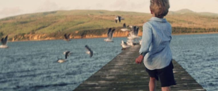 a woman standing on a pier looking at seagulls