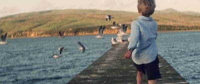 a woman standing on a pier looking at seagulls