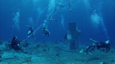 a group of people diving in the ocean
