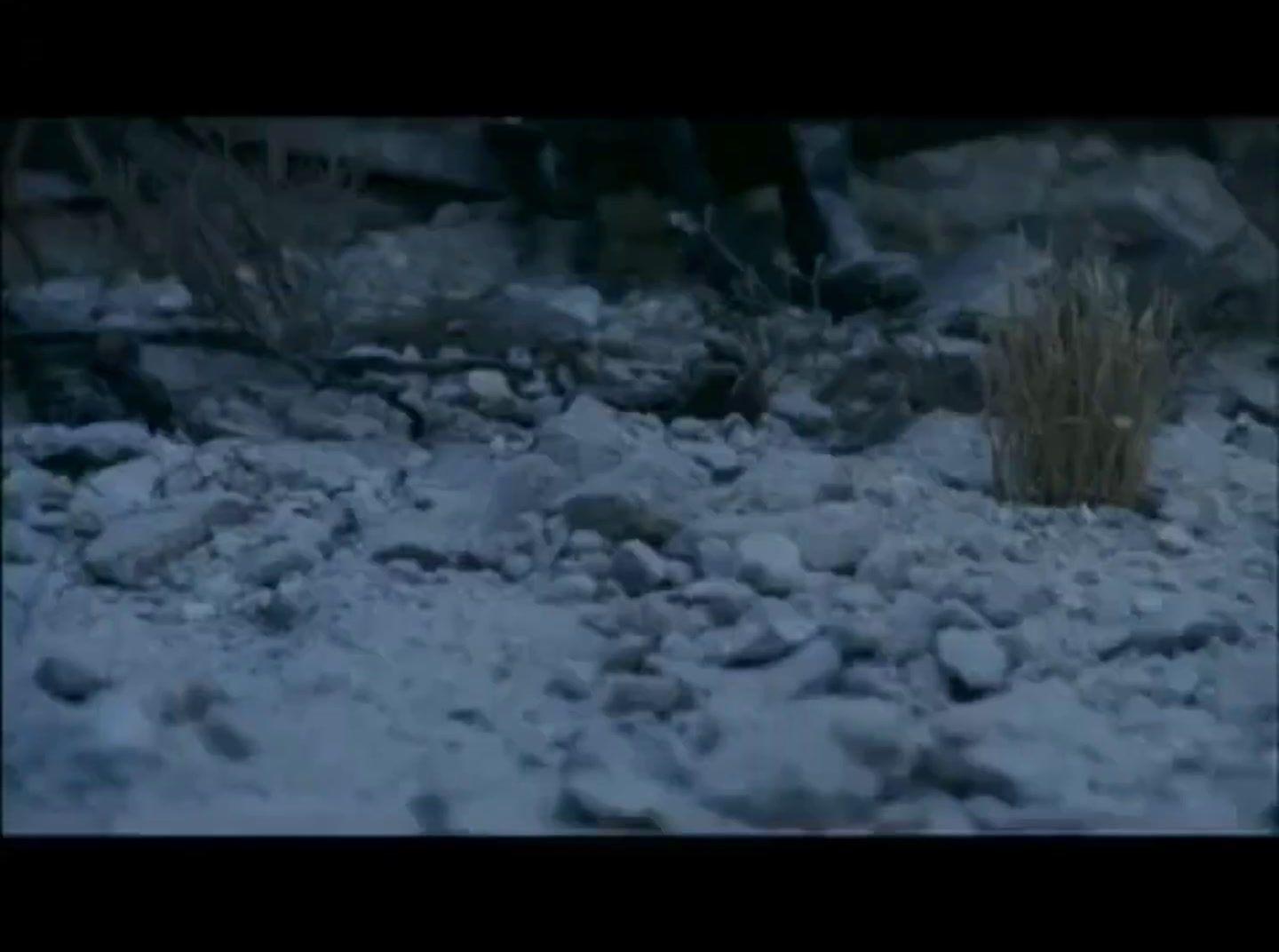 a picture of rocks and grass in the snow
