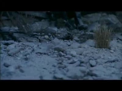 a picture of rocks and grass in the snow