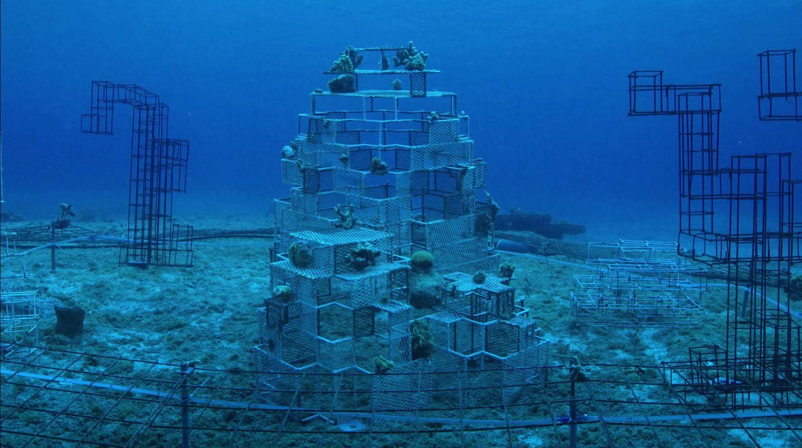 a large tower made out of metal cages in the ocean