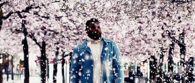 a man standing in front of a tree filled with pink flowers