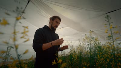 a man standing in a field of yellow flowers