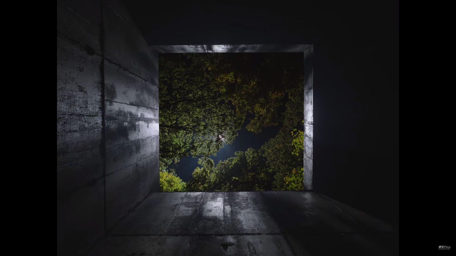 a dark room with a tree in the middle