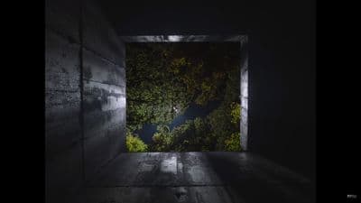 a dark room with a tree in the middle