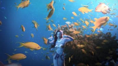 a woman standing under a large group of fish