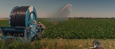 a tractor spraying water on a field of crops