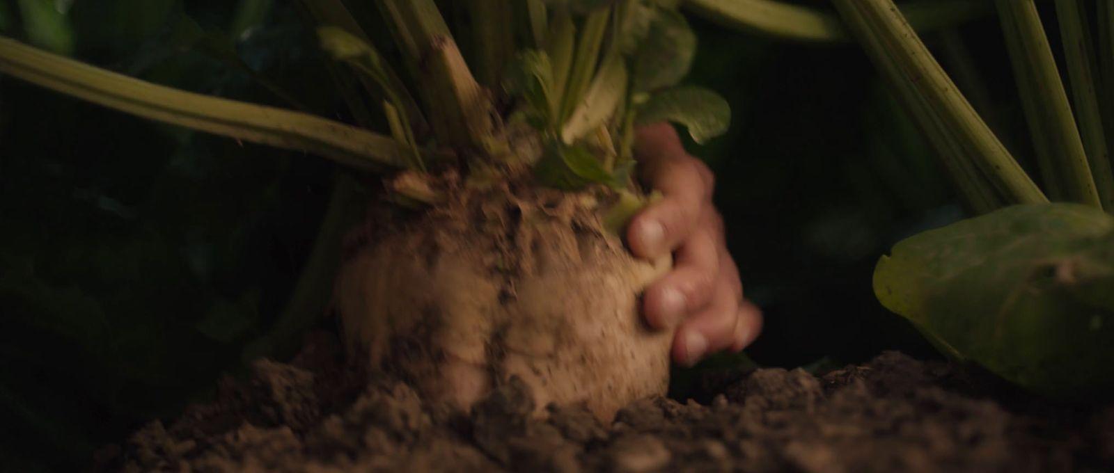 a close up of a person holding a plant in dirt