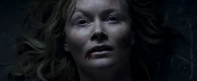 a close up of a person with blood on her face