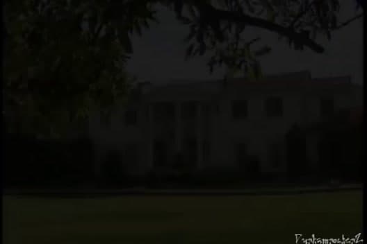 a large white building with a tree in front of it