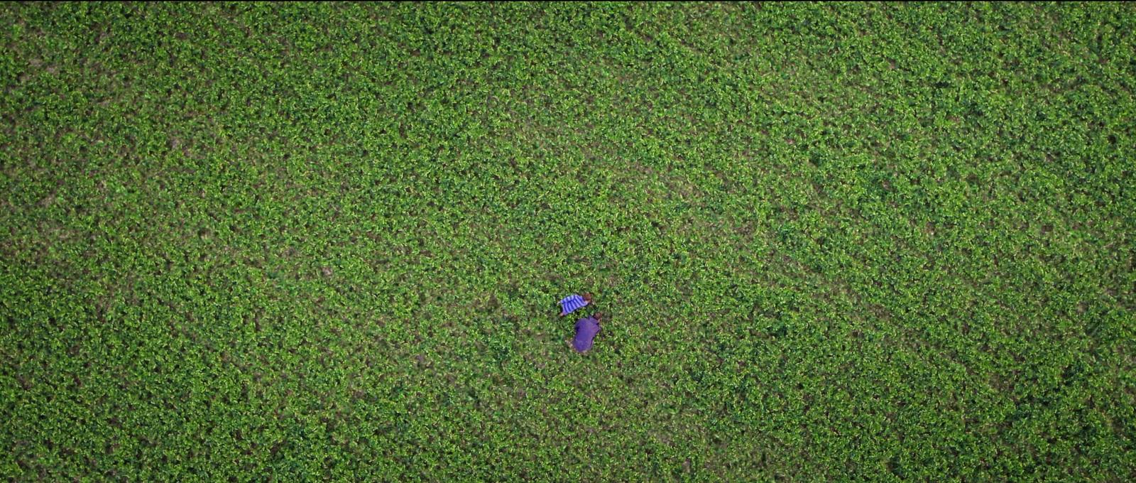 a person standing in a field of green grass
