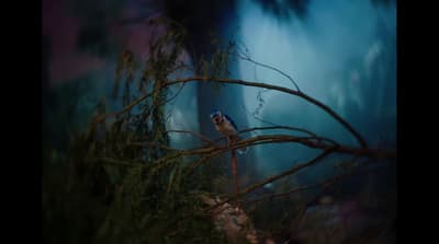 a small bird perched on a tree branch