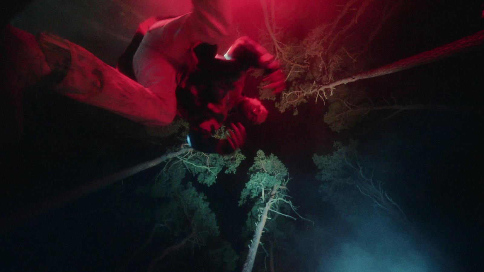 a red light is shining on a tree