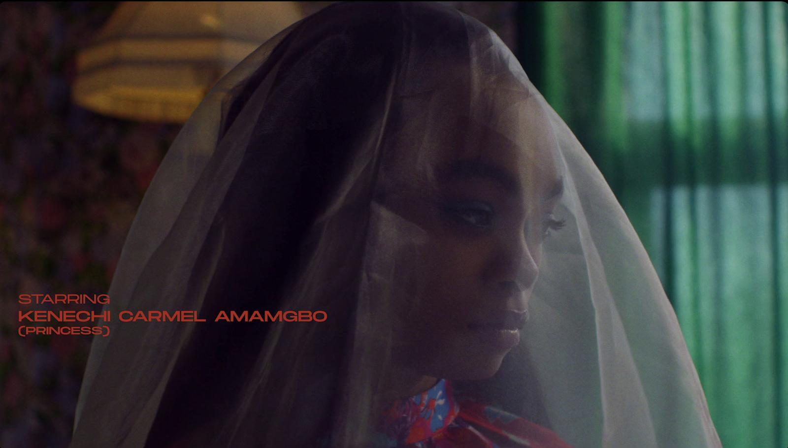 a woman with a veil on her head