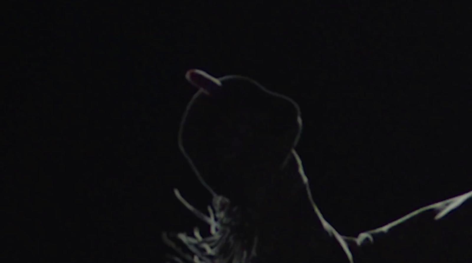 a black and white photo of a dog in the dark