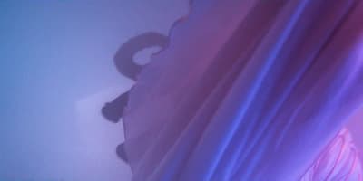 a close up of a curtain with a cat on it