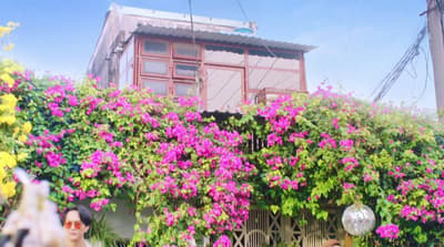 a house with flowers growing on the side of it