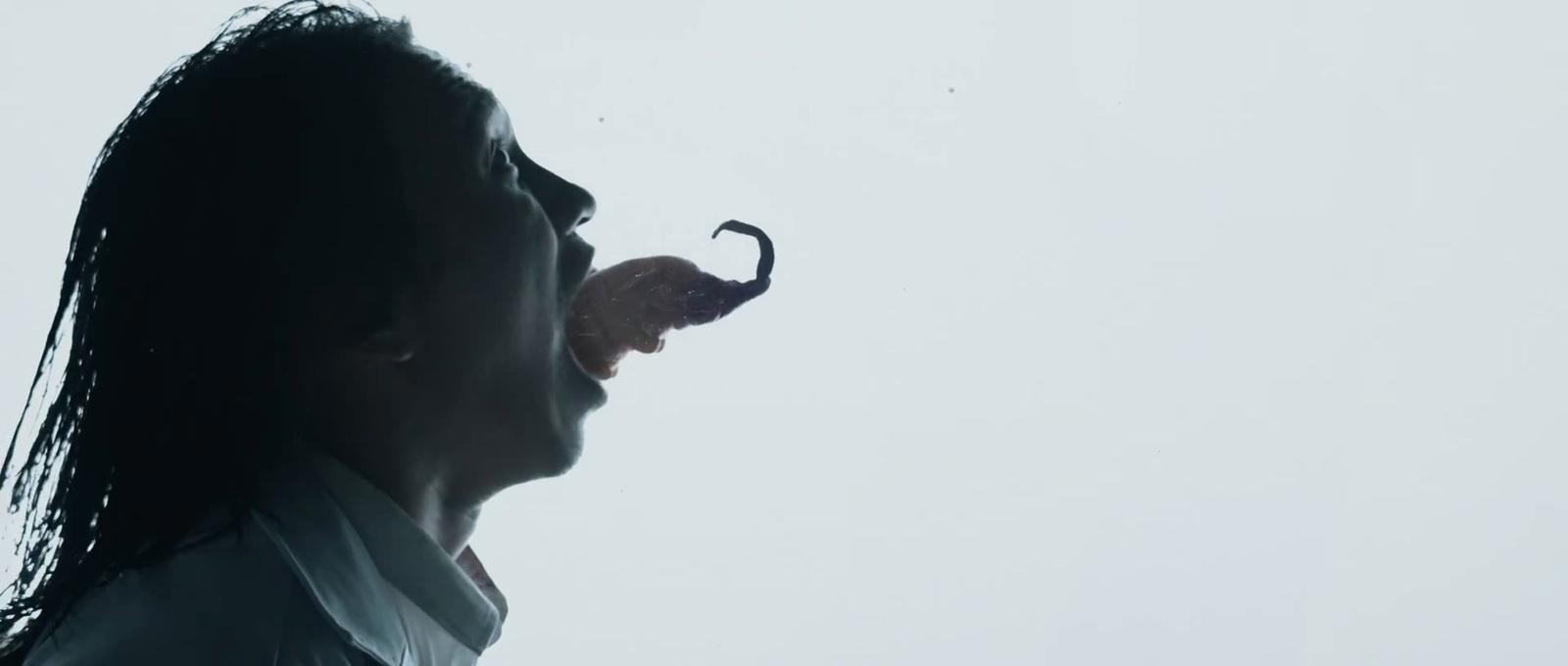 a man with long hair and a fake mustache