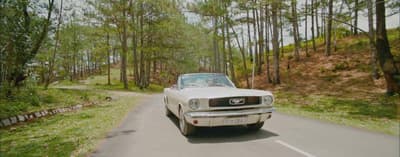 a white car driving down a road next to a forest
