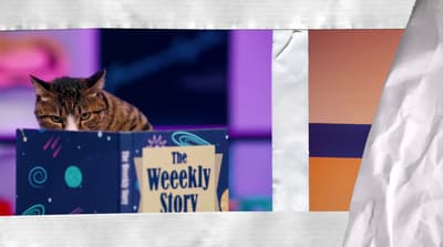 a cat is sitting on top of a book