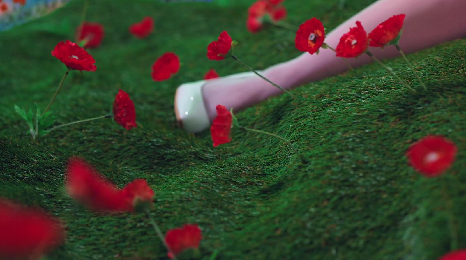 a person laying in the grass with red flowers