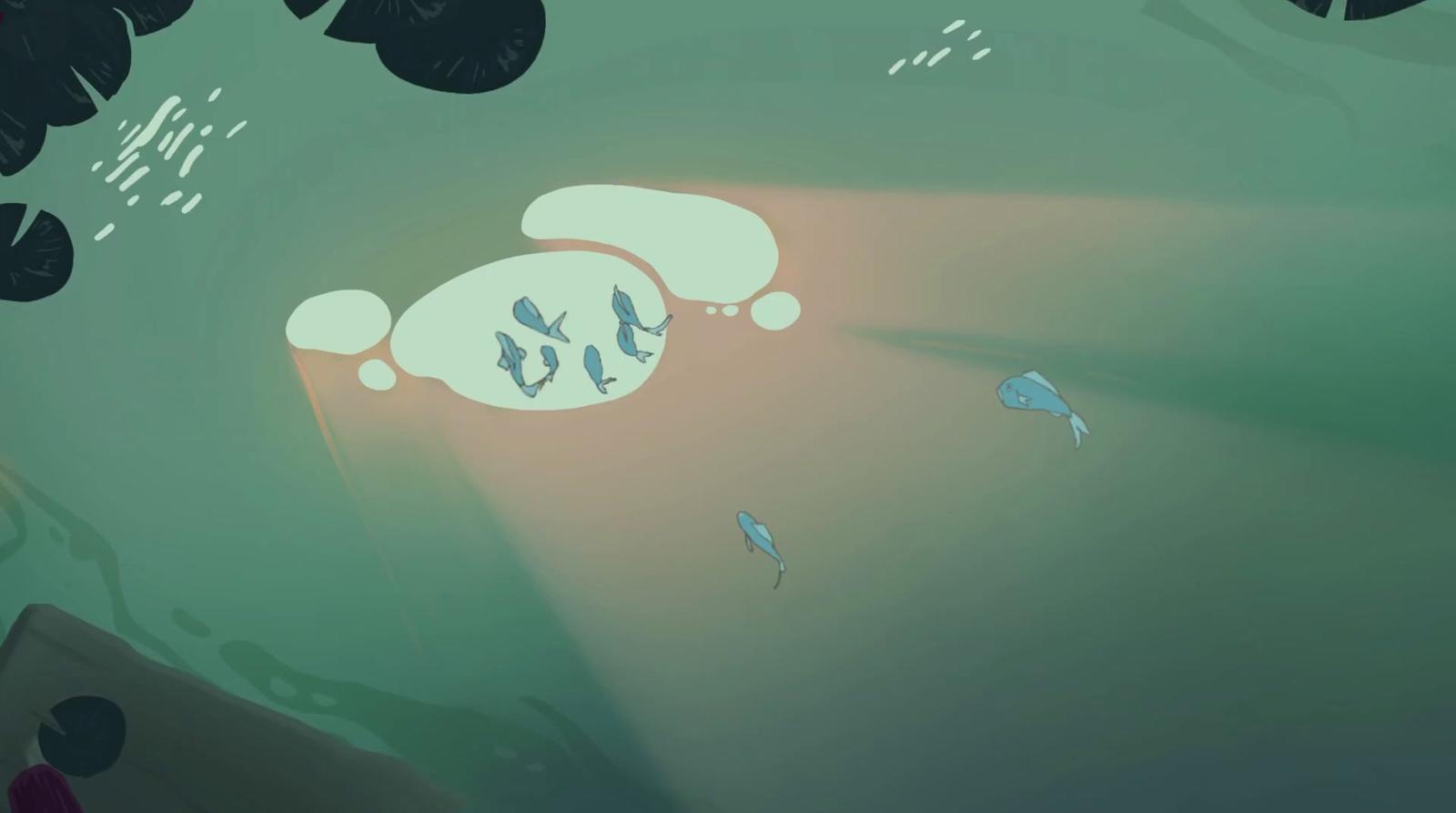 a group of fish floating on top of a body of water