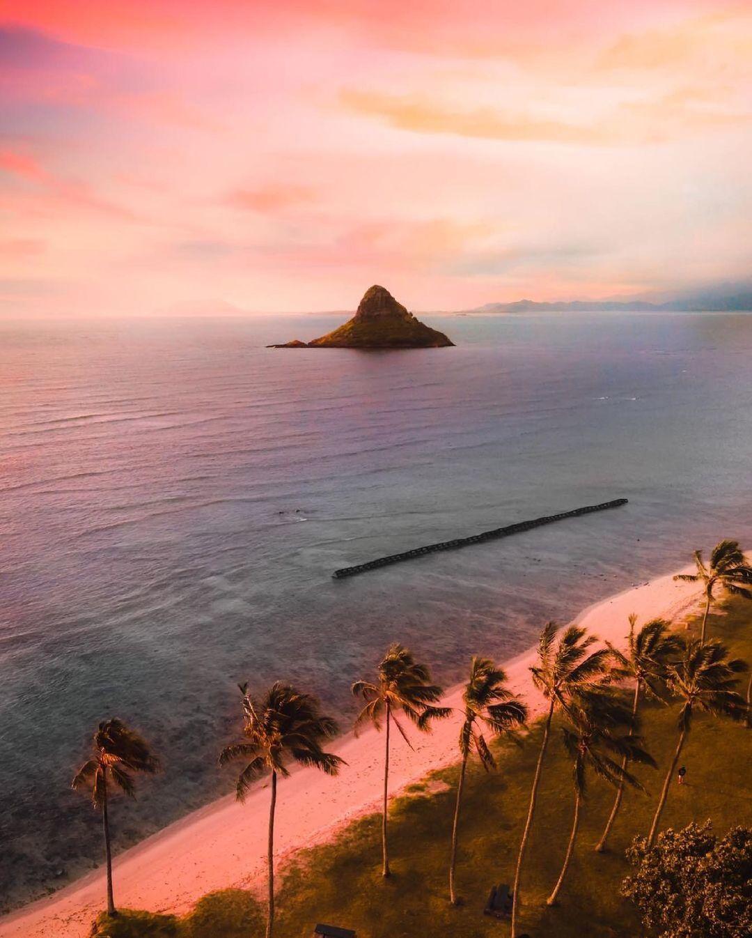 a beach with palm trees and a small island in the distance