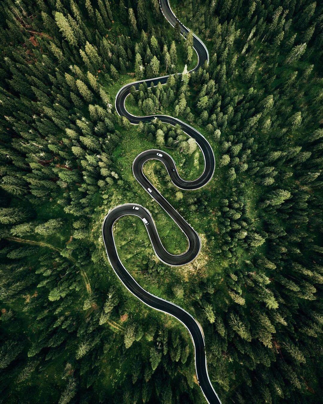 a winding road in the middle of a forest