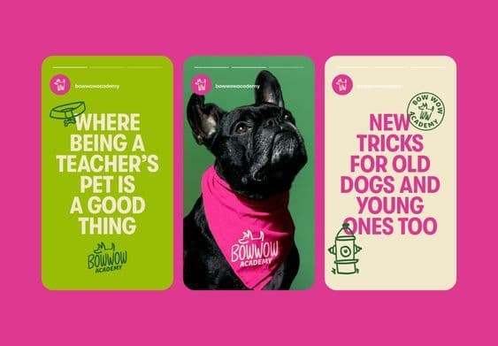 a black dog wearing a pink bandana