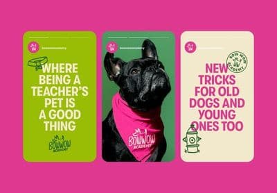 a black dog wearing a pink bandana