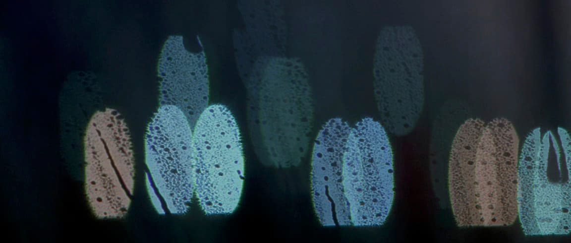a close up of a window with a pattern on it