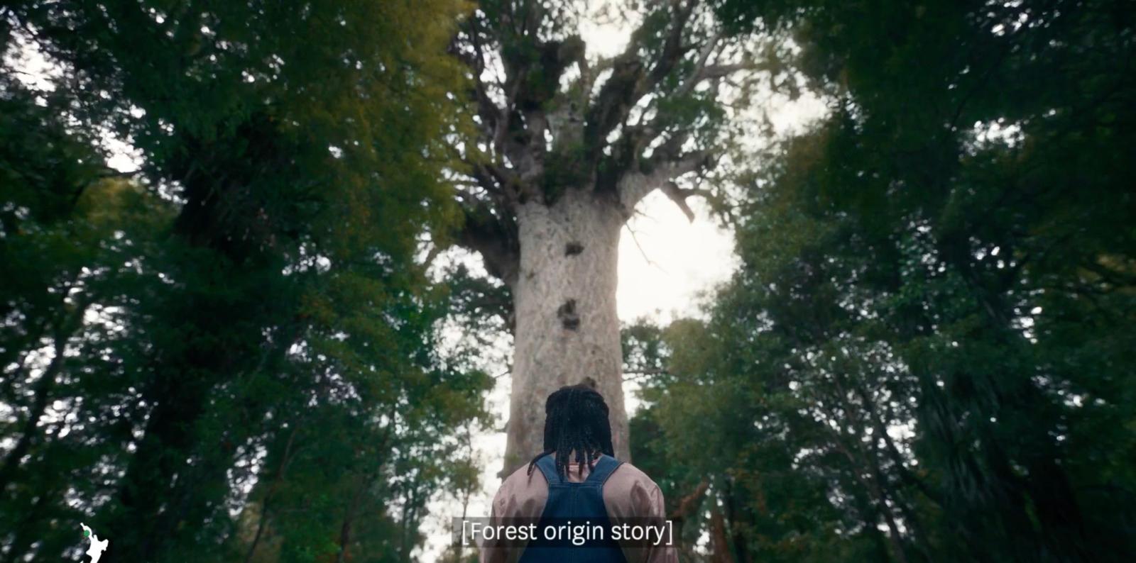 a person standing in front of a tall tree