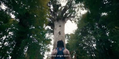 a person standing in front of a tall tree