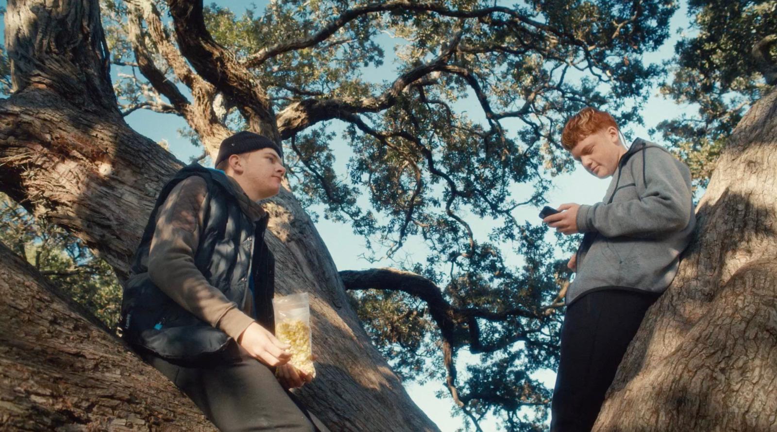 a couple of men standing on top of a tree