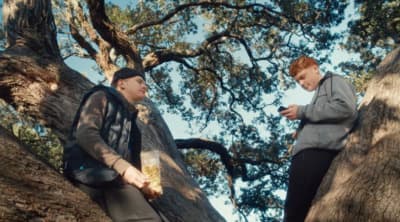 a couple of men standing on top of a tree