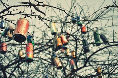 a group of cans hanging from a tree