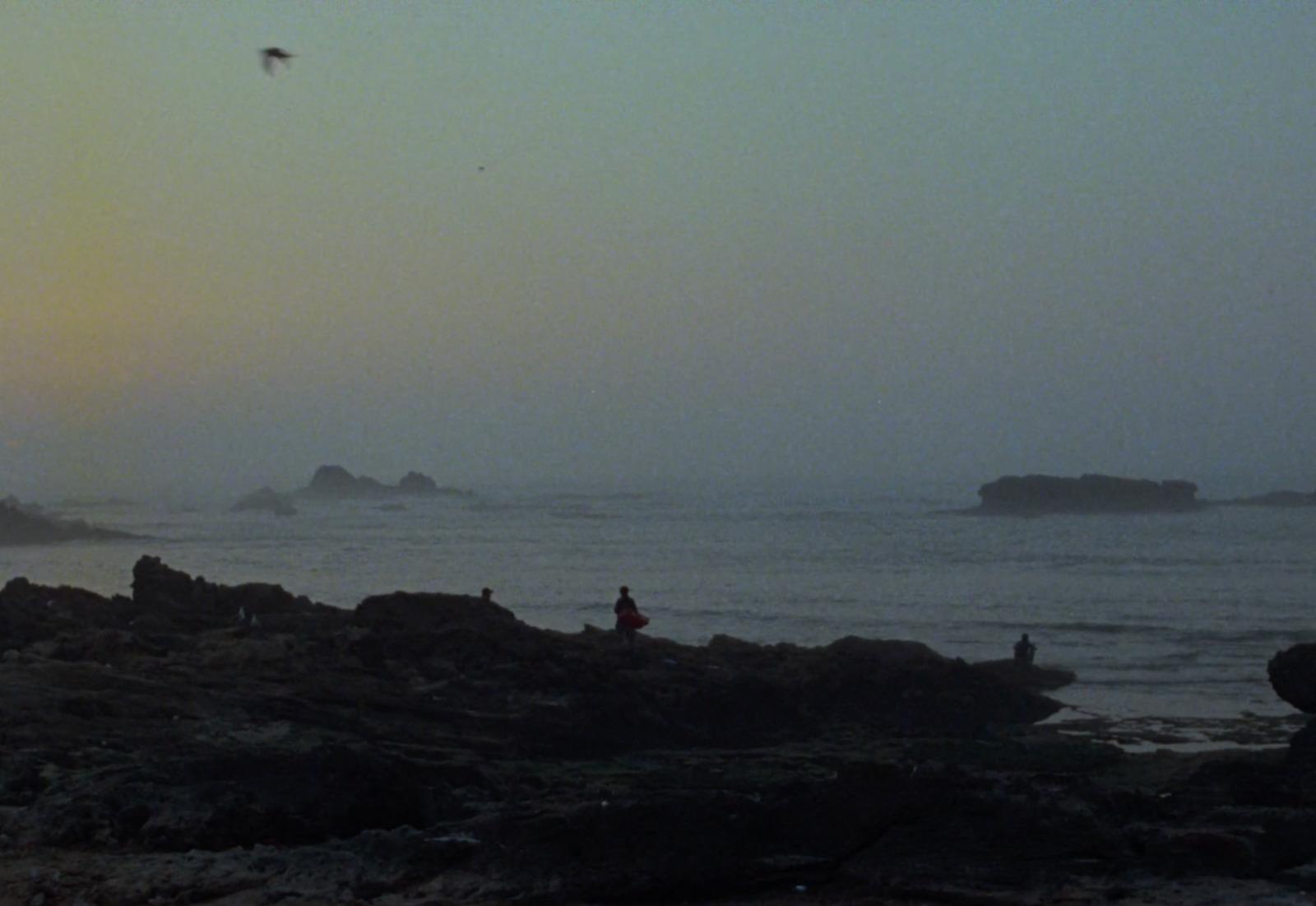 a group of people standing on top of a rocky beach