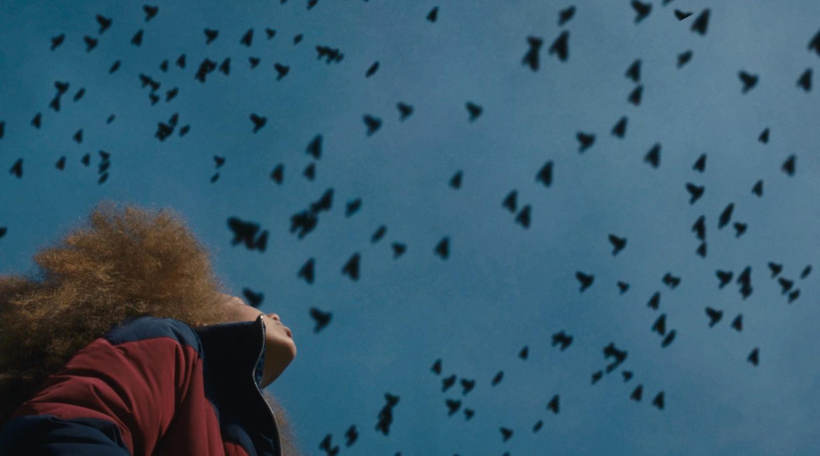a woman looking up at a flock of birds in the sky