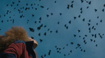 a woman looking up at a flock of birds in the sky