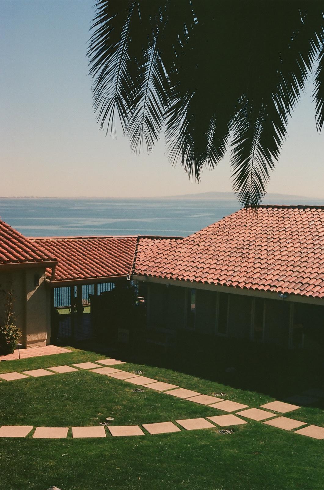 a view of a grassy area with a fence and palm tree