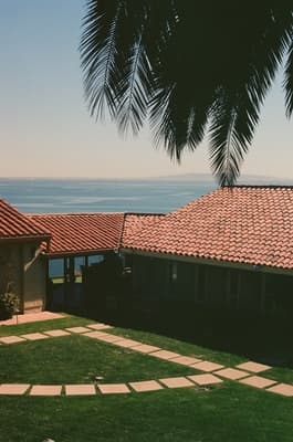 a view of a grassy area with a fence and palm tree